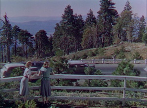 The Goldwyn Follies (1938) [1080p] [WEBRip] [2.0] [YTS] [YIFY]