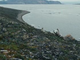 Kingdom of the White Wolf S01E01 The Search 480p x264-mSD [eztv]