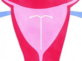 Sex Explained S01E03 480p x264-mSD [eztv]