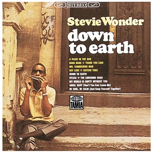 Stevie Wonder - Down to Earth (1966) [gnodde]