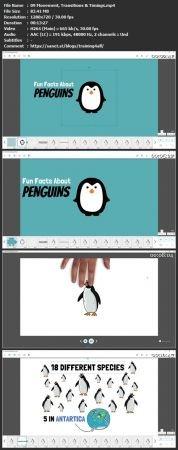 Skillshare - Animated Whiteboard Explainer Videos - Create Your First Video on Youtube