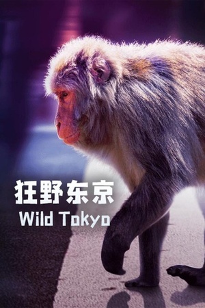 Wild.Tokyo.2021.720p.WEBRip.400MB.x264-GalaxyRG