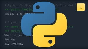 Udemy - Python For Beginners : Become Python Programmer