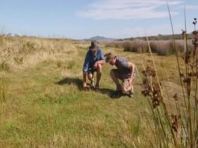 Gardening Australia S31E02 480p x264-mSD [eztv]