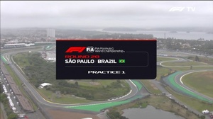 Formula1.2019.R20.Brazilian.Grand.Prix.Practice.One.1080p.WEB.x264-BaNHaMMER