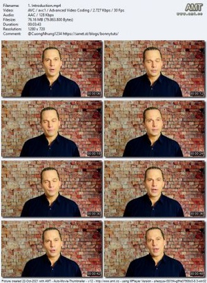 Udemy - American English Pronunciation - Sound & Word Drills - VOWELS