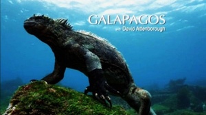 Galapagos with David Attenborough 2013 S01 720p.10bit.BluRay.x265-budgetbits