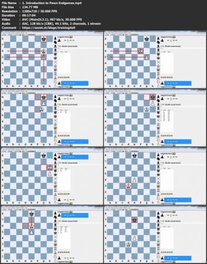 [ FreeCourseWeb ] Udemy - Chess Strategies- Pawn Endgame Mastery