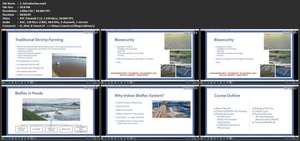 Udemy - Biofloc Technology for High Intensity Indoor Shrimp Farming