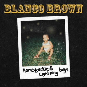 Blanco Brown - Honeysuckle & Lightning Bugs (2019) [320 KBPS] [pradyutvam]