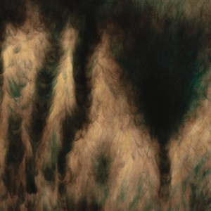 [ambient] (2020) William Basinski - Lamentations [FLAC] [DarkAngie]