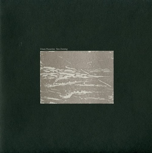 [alternative folk, ambient, post-rock] (2019) Ulaan Passerine - New Evening [FLAC] [DarkAngie]