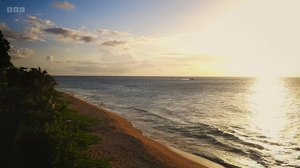 Death.in.Paradise.Season.11.Episode.7.H265.1080p.WEBRip.EzzRips