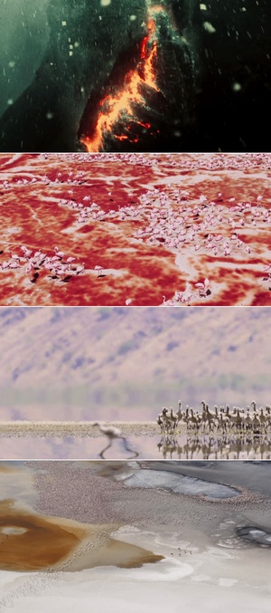 A.Perfect.Planet.S01.480p.x264-ZMNT