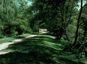 The Passing (1983) [1080p] [BluRay] [5.1] [YTS] [YIFY]