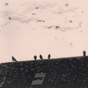 art pop post rock 2018 Stuart A Staples Arrhythmia FLAC Tracks 100 XY