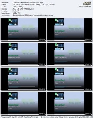 Udemy - Microsoft Excel Skills Lab from Beginner to Pro Level