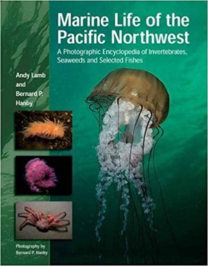 [ FreeCourseWeb ] Marine Life of the Pacific Northwest- A Photographic Encyclopedia of Invertebrates, Seaweeds And Selected Fishes
