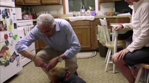 Understanding the Opioid Epidemic (2018) [WEBRip] [1080p] [YTS] [YIFY]