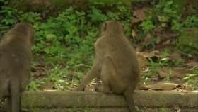 Earth Odyssey with Dylan Dreyer S01E08 720p WEB x264-CookieMonster [eztv]