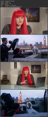 [ FreeCourseWeb ] KelbyOne - Adventures of Becoming a Dog Photographer - A Behind the Scenes Look at What it Takes to Get Amazing Portraits of Dogs