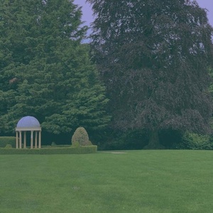 AURORA - FOR THE HUMANS WHO TAKE LONG WALKS IN THE FOREST (2021) Mp3 320kbps [PMEDIA] ⭐️