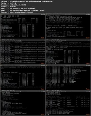 [ FreeCourseWeb ] Udemy - Troubleshooting Kubernetes
