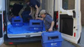 The Zoo US S04E12 Penguins In Love WEBRip x264-LiGATE [eztv]