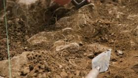 An American Aristocrats Guide to Great Estates S01E06 Sudeley Castle WEB h264-CAFFEiNE [eztv]