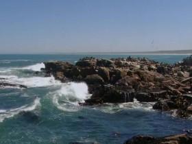 Africas Deadliest S05E03 Killers of the Deep 480p x264-mSD [eztv]