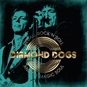 Diamond Dogs - Recall Rock 'n' Roll and the Magic Soul (2019) [320 KBPS] (pradyutvam)