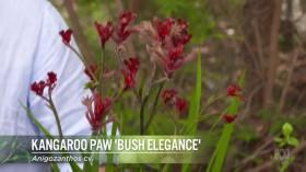 Gardening Australia S31E17 HDTV x264-PLUTONiUM [eztv]