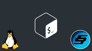 Udemy - Bash Scripting, Linux and Shell Programming Complete Guide [Course Drive]