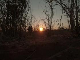 Walking with Elephants S01E01 480p x264-mSD [eztv]