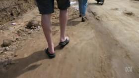 Australian Story S23E36 WEB x264-FLX [eztv]