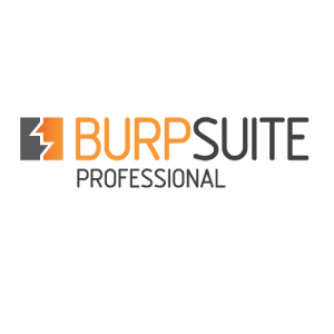 Burp Suite Professional v2020.9.1 Build 3995 + Loader - [haxNode]