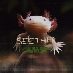 Seether - Curiosities, Rarities And Pariahs (2021) Mp3 320kbps [PMEDIA] ⭐️