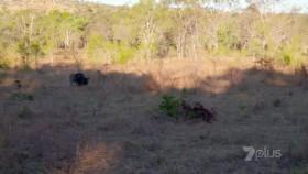 Deadly Down Under S01E03 WEB H264-SHADOWS [eztv]