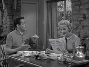 Mister Ed Complete Series S1 S6