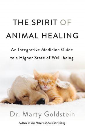 [ DevCourseWeb ] The Spirit of Animal Healing - An Integrative Medicine Guide to a Higher State of Well-being