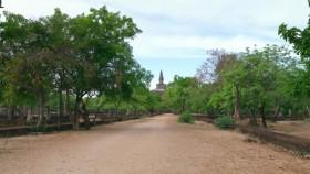 Monkey Island S01E02 Leaving Home WEB h264-CAFFEiNE [eztv]