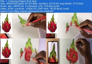 Udemy - Learn to Use Colored Pencils and Create Vibrant Illustration