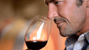 [ FreeCourseWeb ] Udemy - Wine- Everything You Want to Know, Taught by a Winemaker