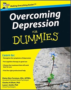 [ DevCourseWeb ] Overcoming Depression for Dummies
