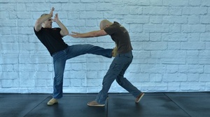 Krav Maga Self Defense: Intro. & Core Combatives by D. Kahn