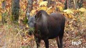 Tirdy Works S01E01 720p WEBRip x264-KOMPOST [eztv]