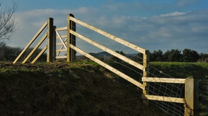 Udemy - Learn Modern C++ [Course Drive]