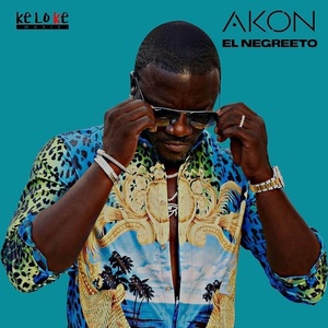 Akon - El Negreeto (2019) [320 KBPS] (pradyutvam)