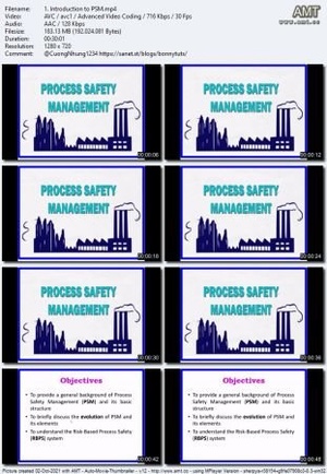 Udemy - Process Safety Management (PSM)