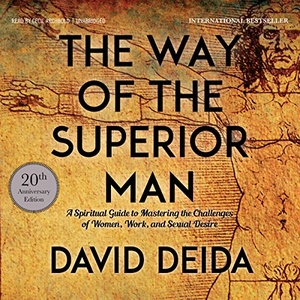 The Way of the Superior Man: A Spiritual Guide to Mastering the Challenges of Women, Work, and Sexual Desire - David Deida